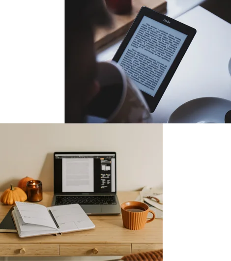 ebook writing services